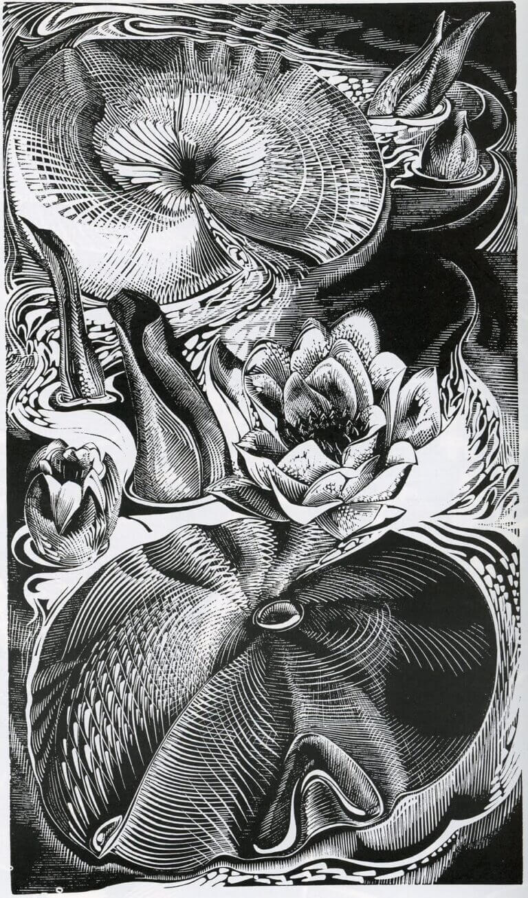 Gertrude Hermes - Waterlilies